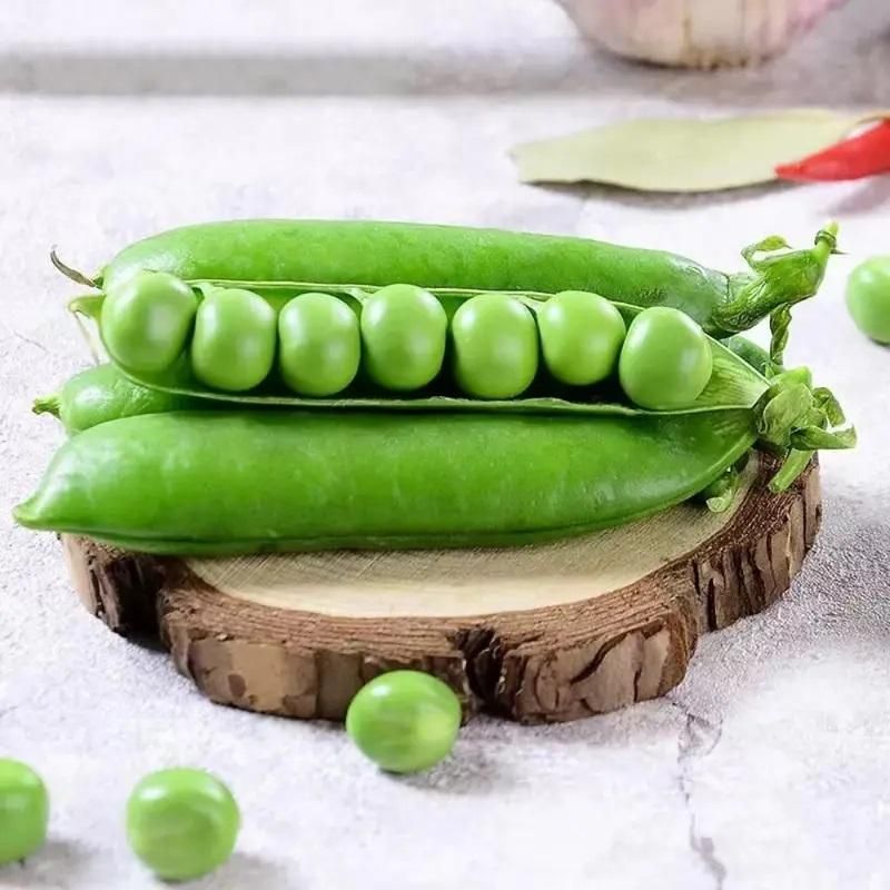 Green Peas Vegetable Seeds (Pack of 20)