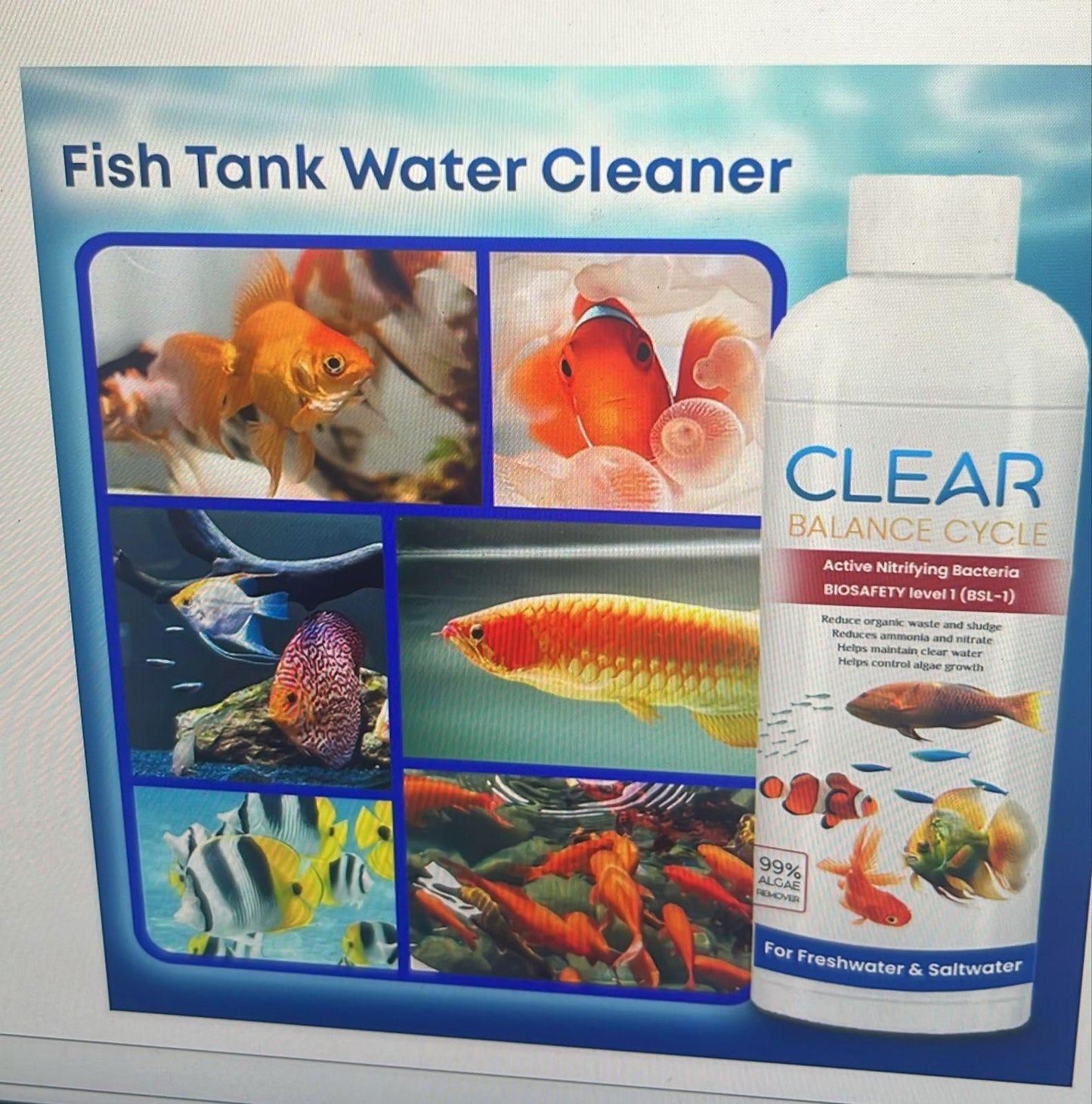 Fish Tank Water Purifier Algae Remover 100ml (Pack of 3)